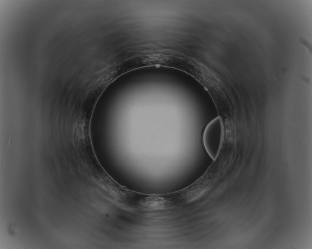 X0000093230514200709261655