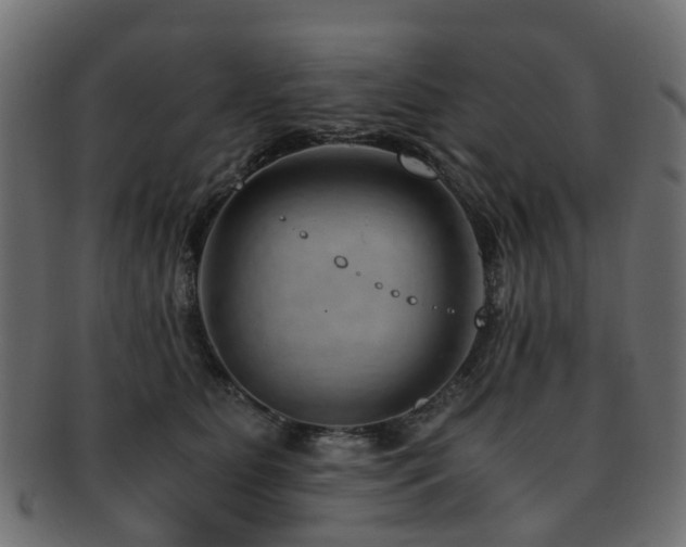X0000093230515200709261655