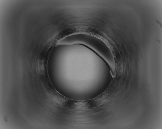 X0000093230516200709261654