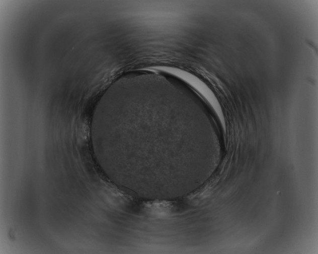 X0000093230517200709261654