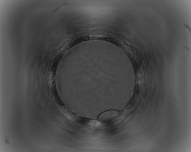 X0000093230519200709261654