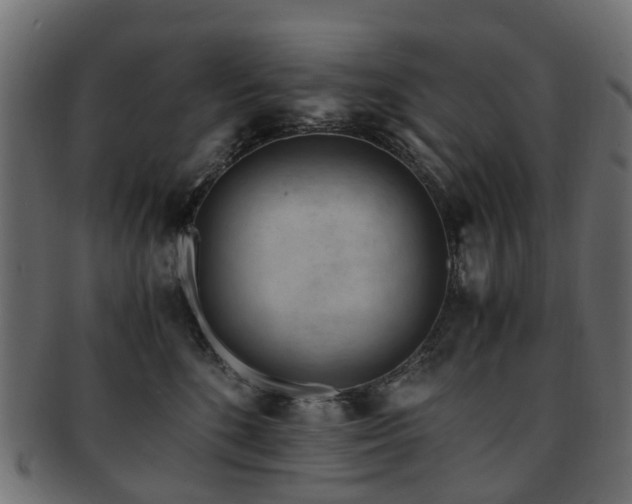 X0000093230520200709261654