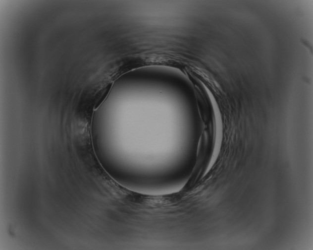 X0000093230521200709261654