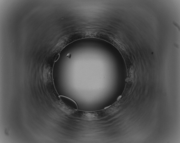 X0000093230522200709261654