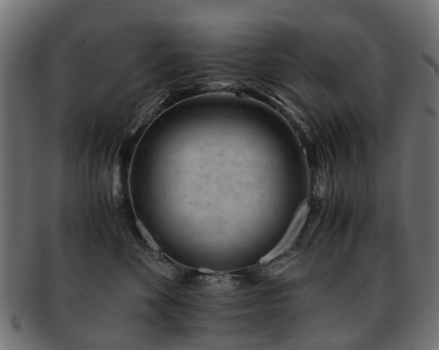 X0000093230524200709261654