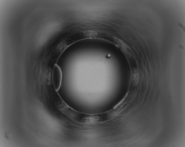 X0000093230525200709261654