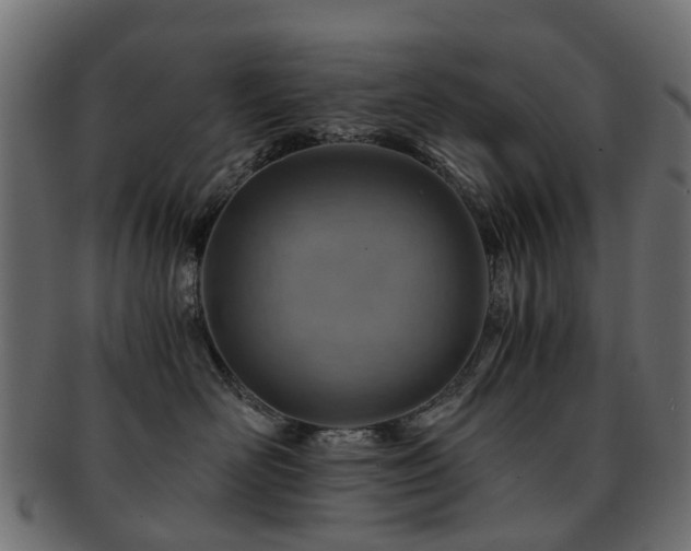 X0000093230526200709261654