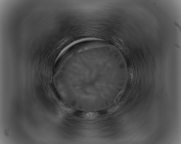 X0000093230527200709261654