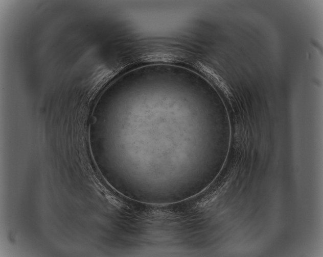 X0000093230529200709261654