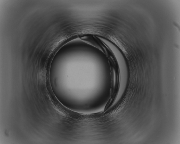 X0000093230530200709261654