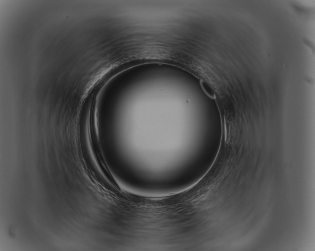 X0000093230531200709261654