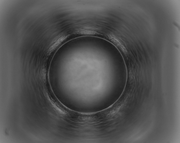 X0000093230533200709261654