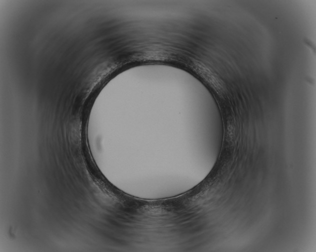 X0000093230534200709261654