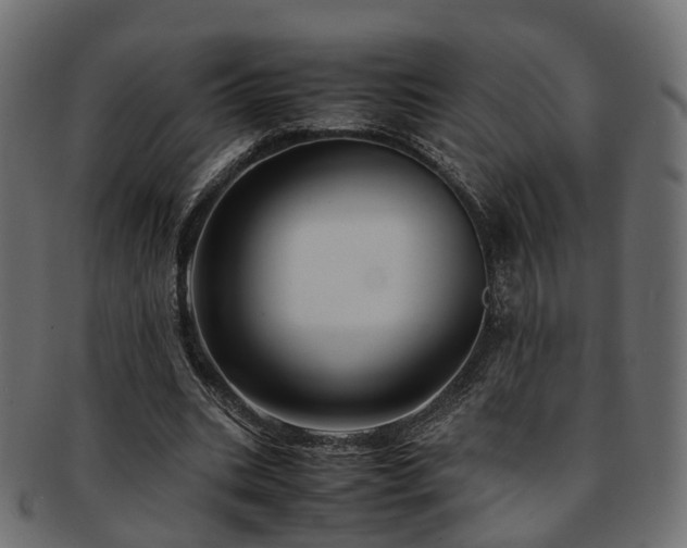 X0000093230535200709261654