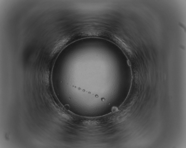 X0000093230537200709261654