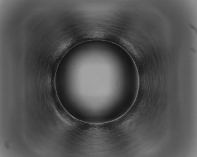 X0000093230538200709261654
