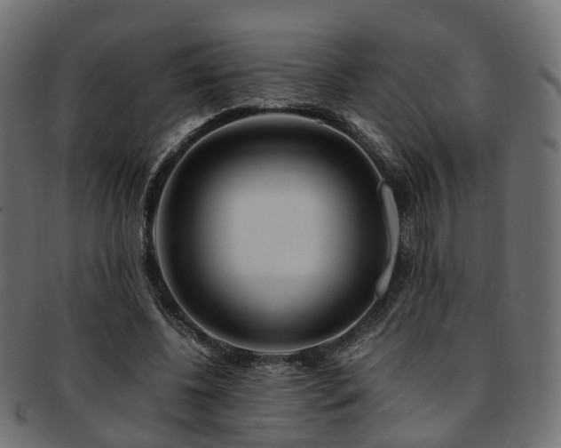 X0000093230540200709261654
