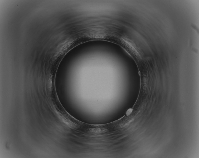 X0000093230541200709261654