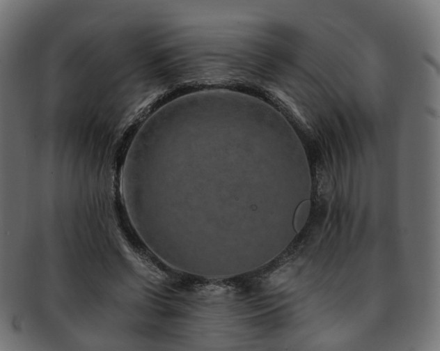 X0000093230542200709261654