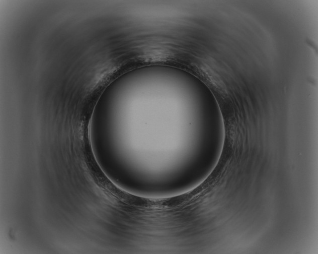 X0000093230543200709261654