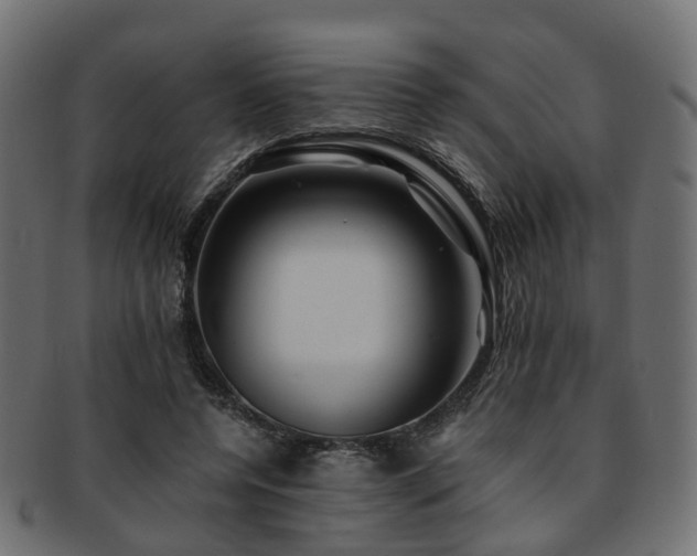 X0000093230544200709261654