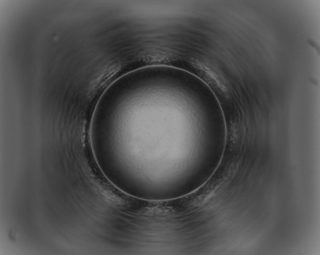 X0000093230545200709261654