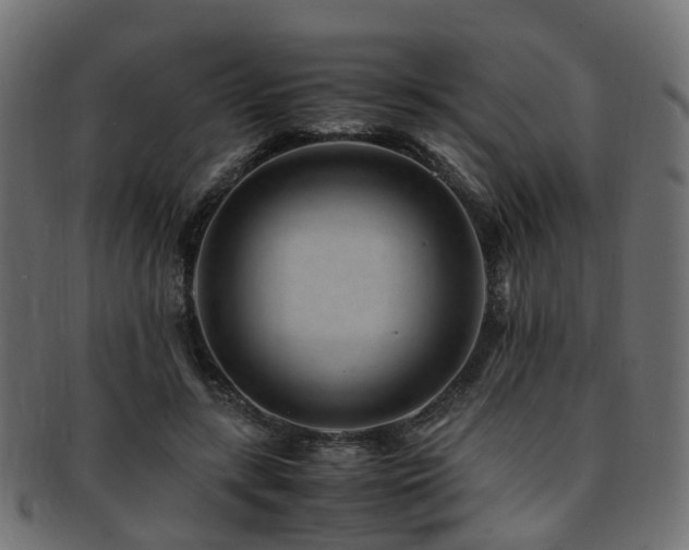 X0000093230547200709261654