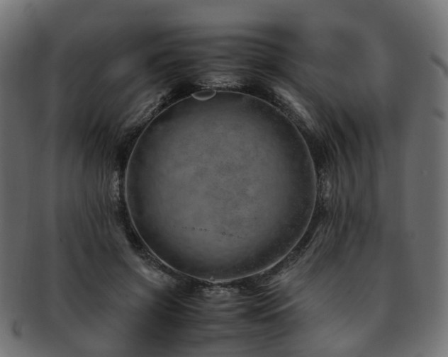 X0000093230549200709261654