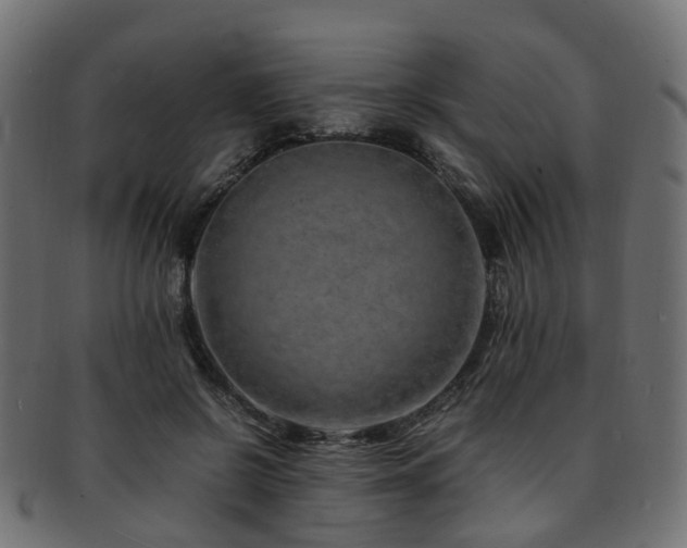 X0000093230550200709261654