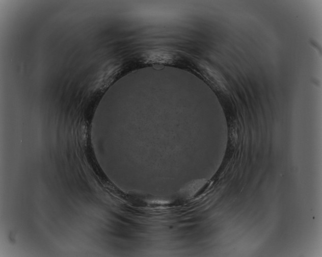 X0000093230551200709261654