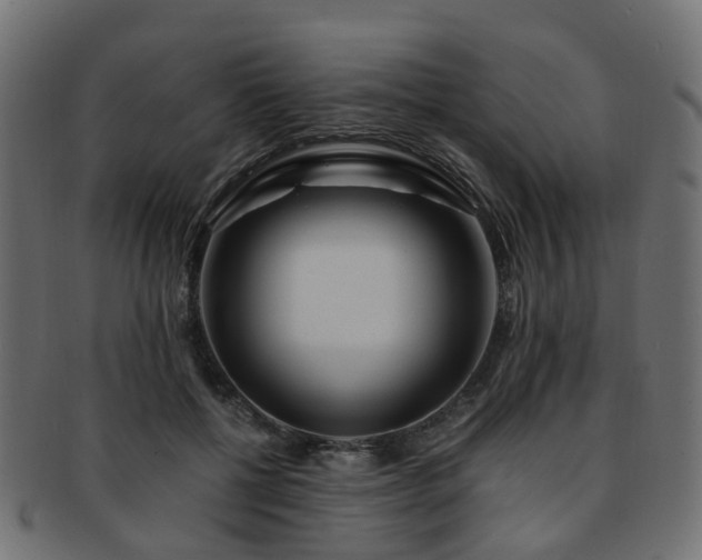 X0000093230552200709261654