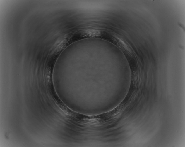 X0000093230553200709261654