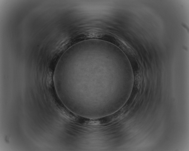 X0000093230554200709261654