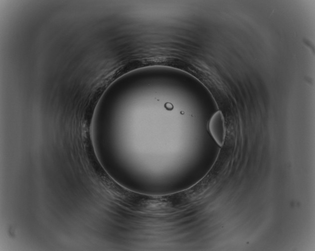 X0000093230555200709261654