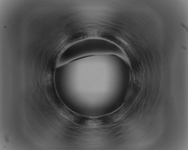 X0000093230556200709261654