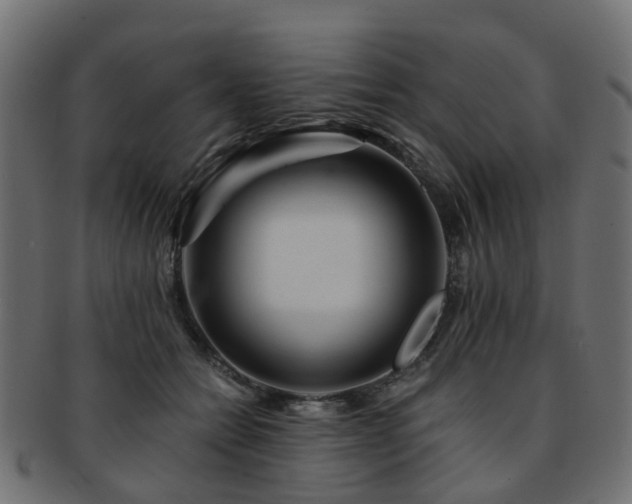 X0000093230558200709261654