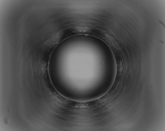X0000093230559200709261654