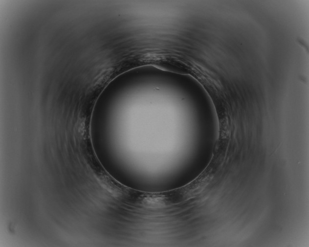 X0000093230560200709261654