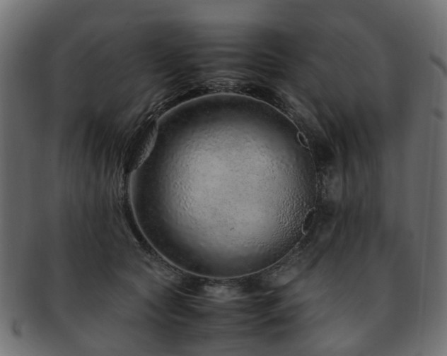 X0000093230561200709261654
