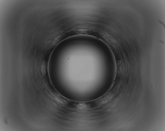 X0000093230562200709261654