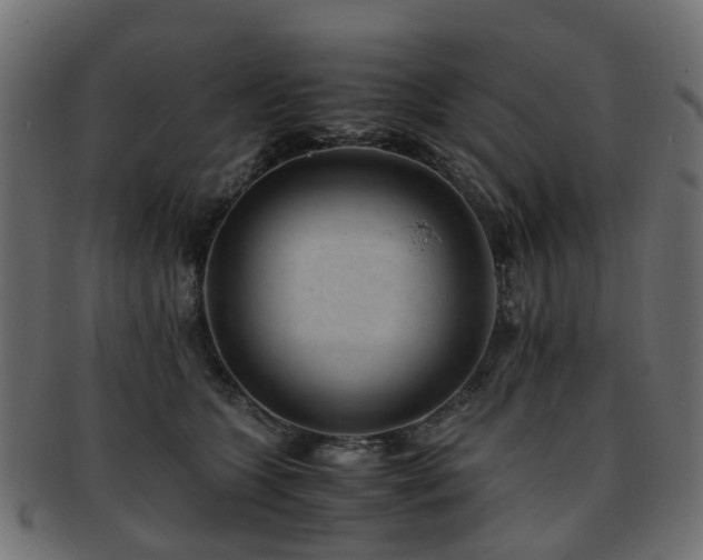 X0000093230563200709261654