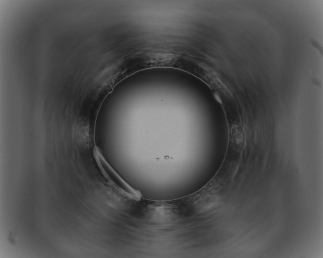 X0000093230564200709261654
