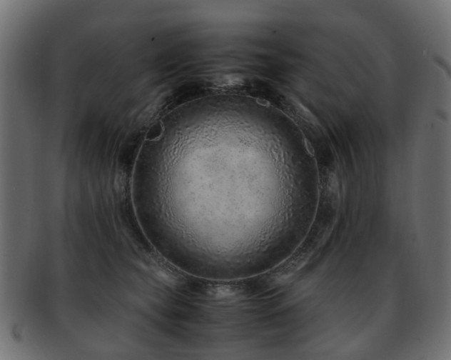 X0000093230565200709261654
