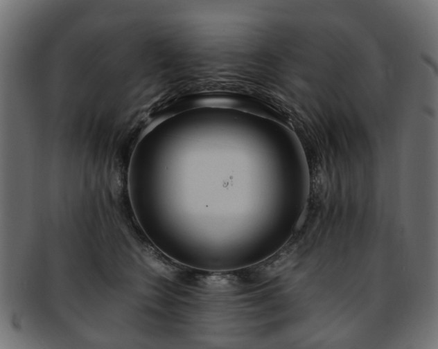 X0000093230566200709261654