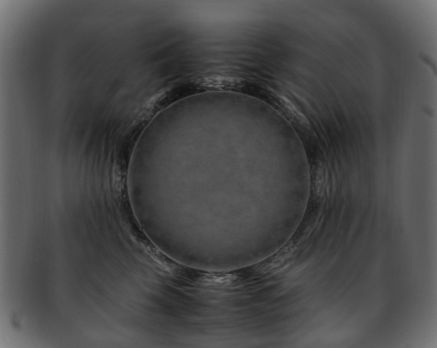 X0000093230569200709261654