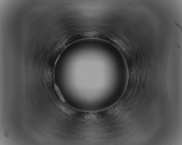 X0000093230572200709261654