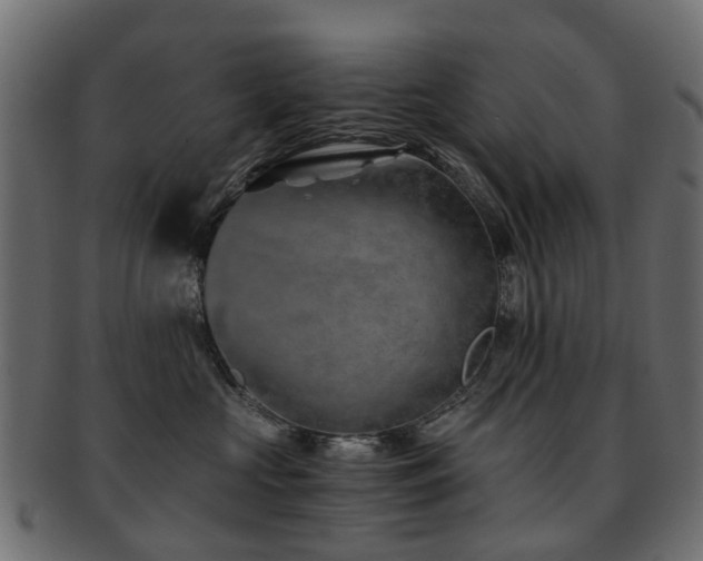 X0000093230573200709261654