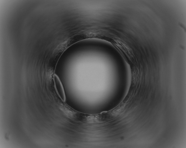 X0000093230574200709261654