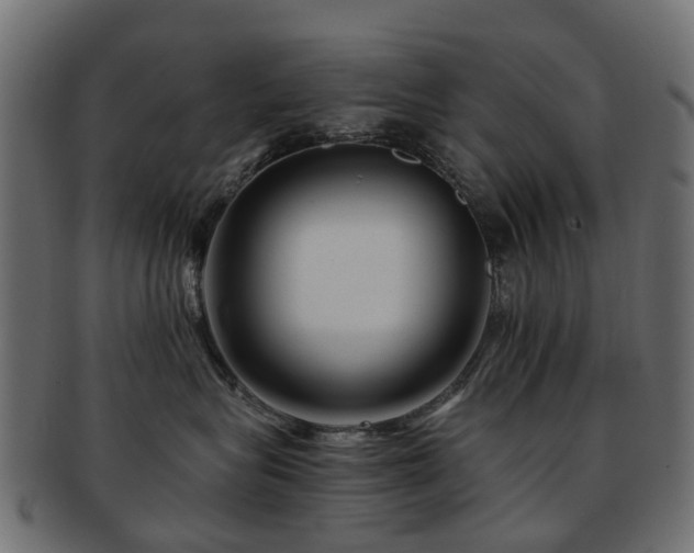 X0000093230575200709261654