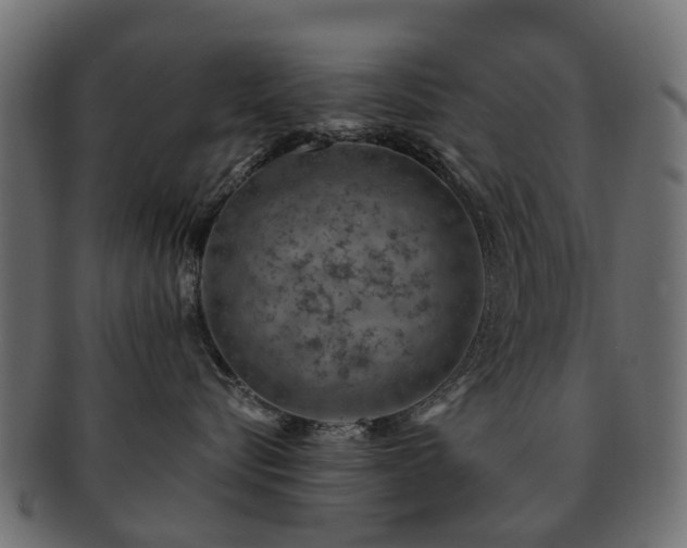 X0000093230576200709261654